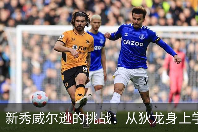 新秀威尔逊的挑战：从狄龙身上学到的教训